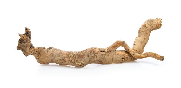 Effets secondaires du tongkat ali : les points à connaître